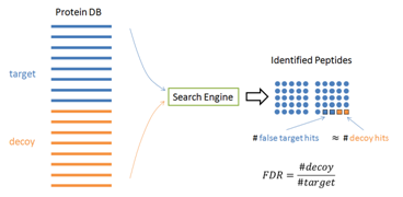 False Discovery Rate (FDR) Tutorial - Protein Identification - BSI