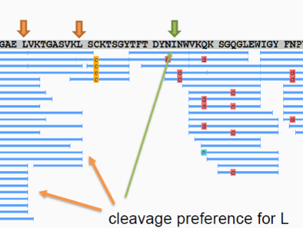 de novo protein sequence analysis