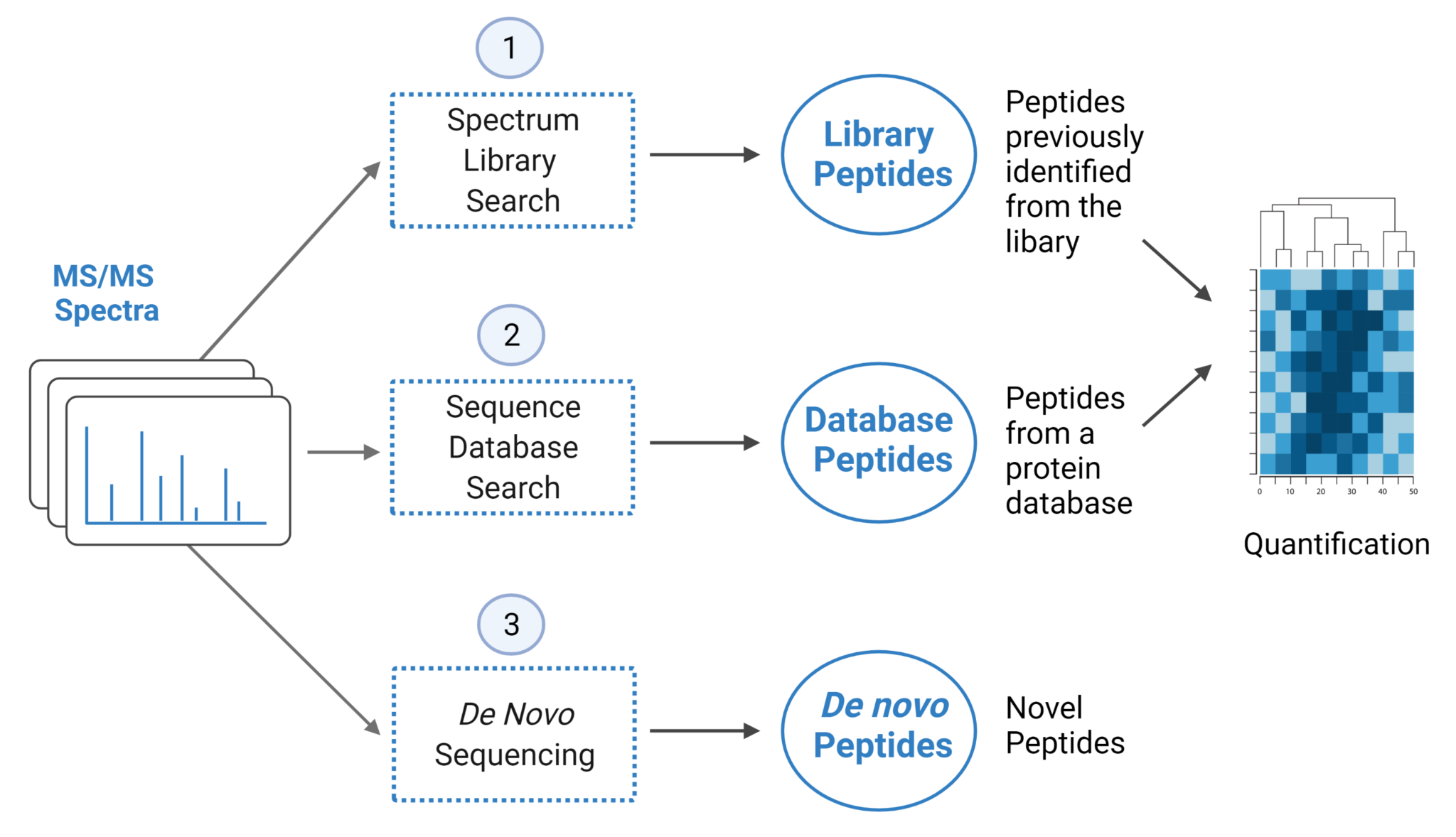 Protein Identification And Quantification Software Ptm And Variant Search